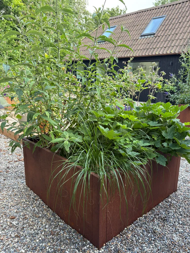 Modulopbyggede - Kvadratisk højbede i corten chromed
