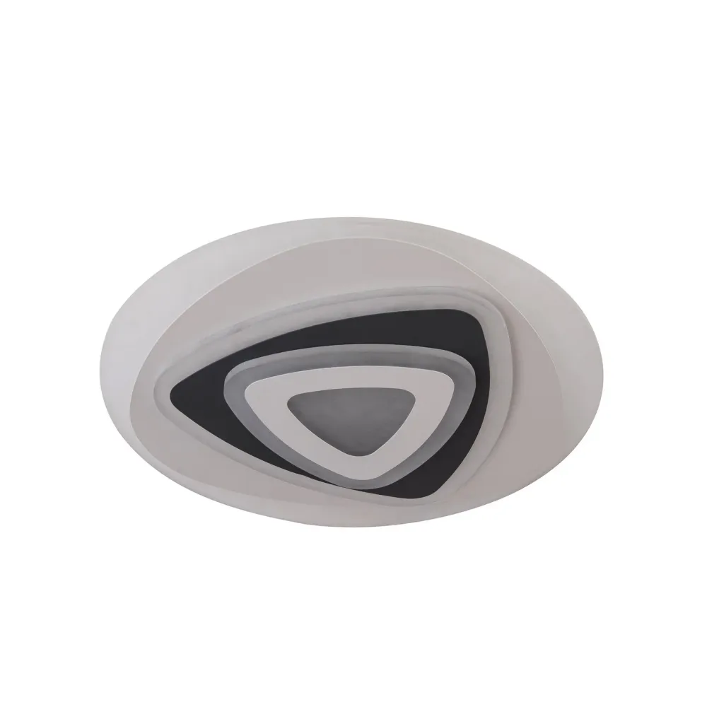 Modern LED Ceiling Light | Adjustable Color Temperature Remote Control
