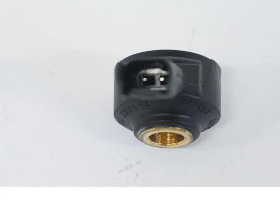 Ping sensor BMW