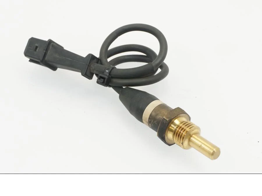 Temperatursensor BMW