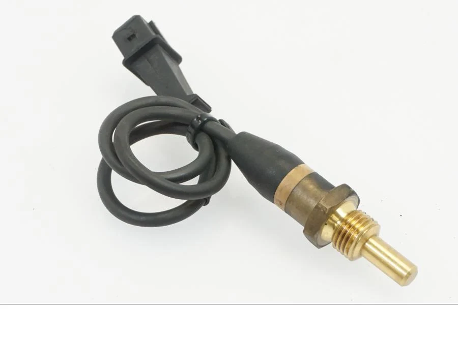 Temperatursensor BMW