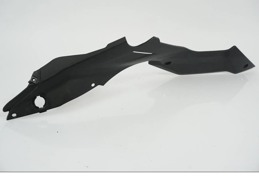 Sidepanel Ducati