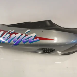 Bagvinge Kawasaki