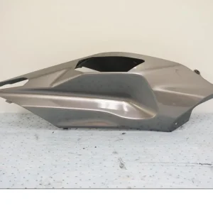 Bagvinge Kawasaki