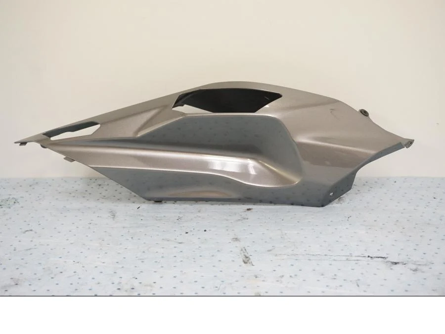 Bagvinge Kawasaki