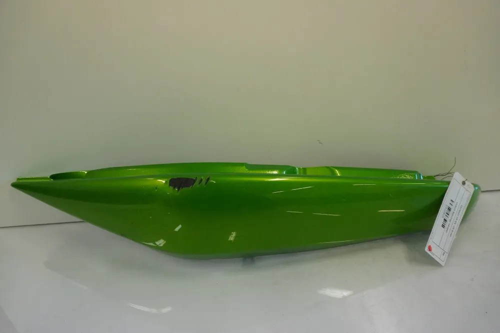 Bagvinge Kawasaki