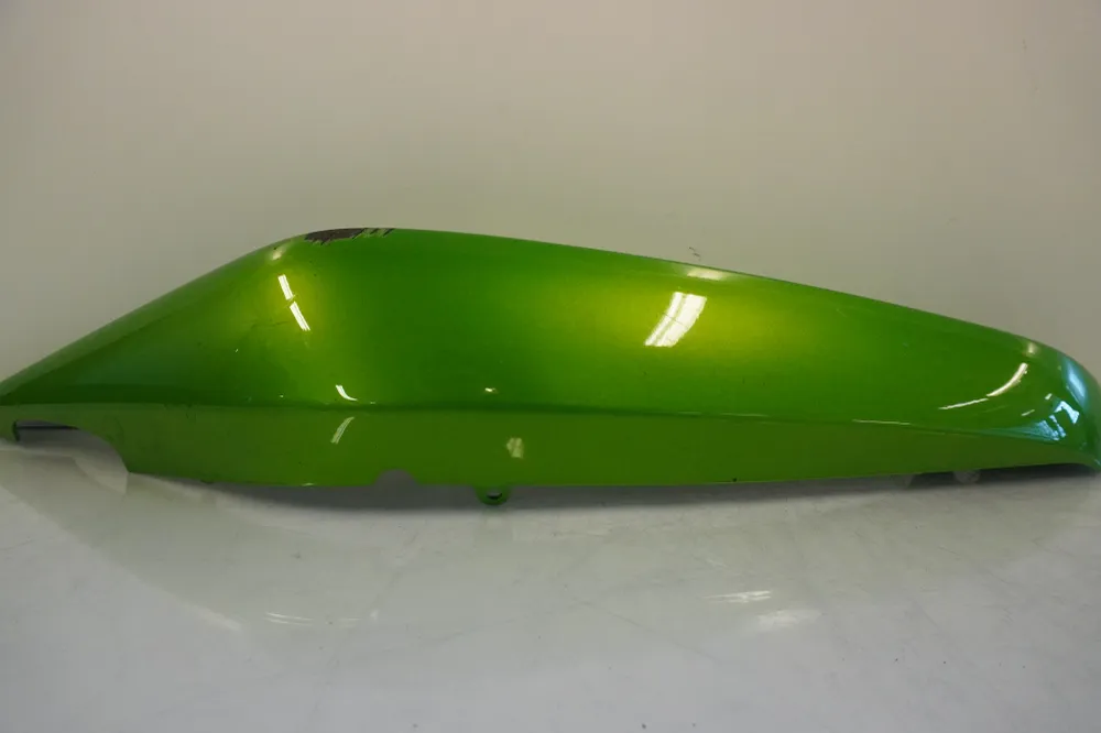Bagvinge Kawasaki