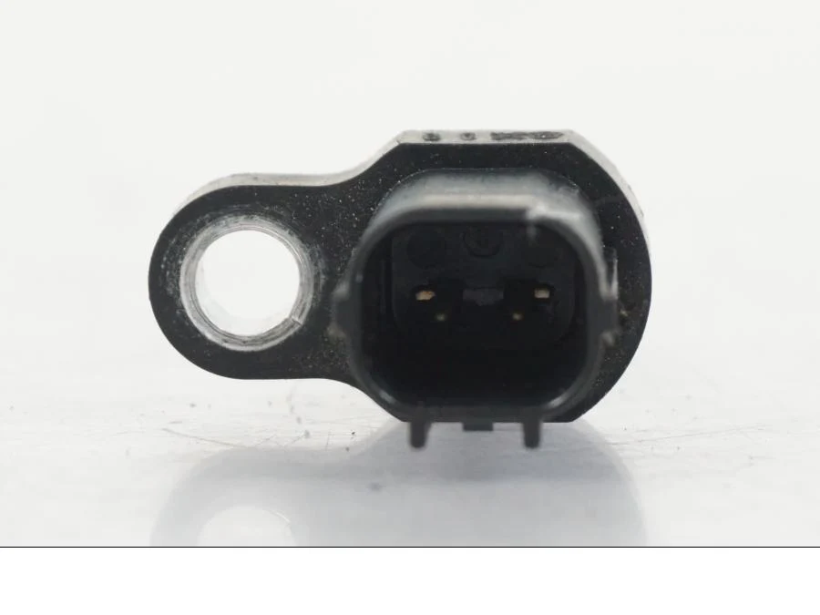 Luftburksensor Kawasaki