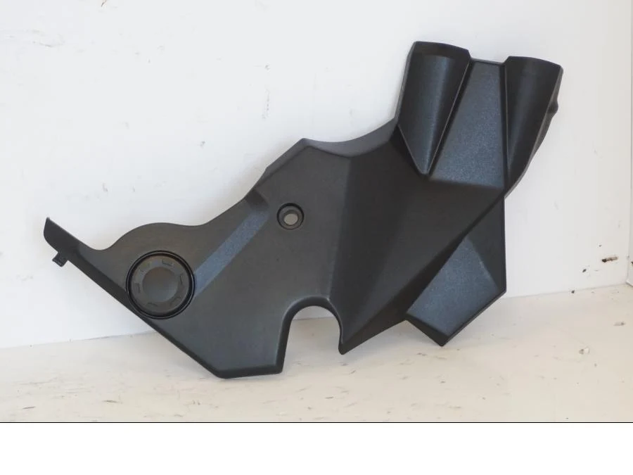 Sidepanel Kawasaki