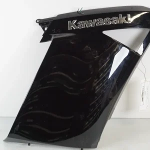 Sidkåbe Kawasaki