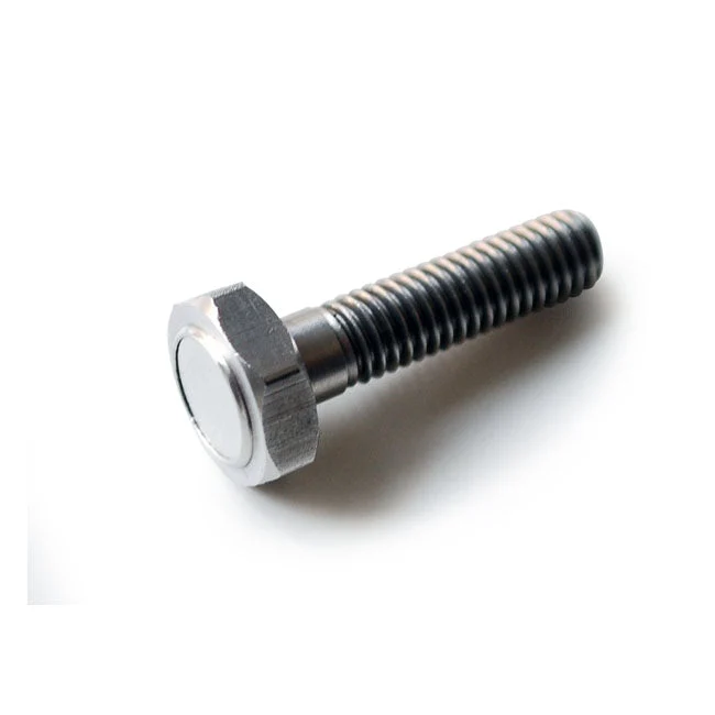 Motogadget Magnetbolt M6