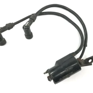 Suzuki RG 250 Gamma GJ21D [1987] - Tændspole tændspole enhed dobbelt tændspole