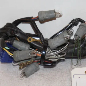 Kontrollamper Suzuki