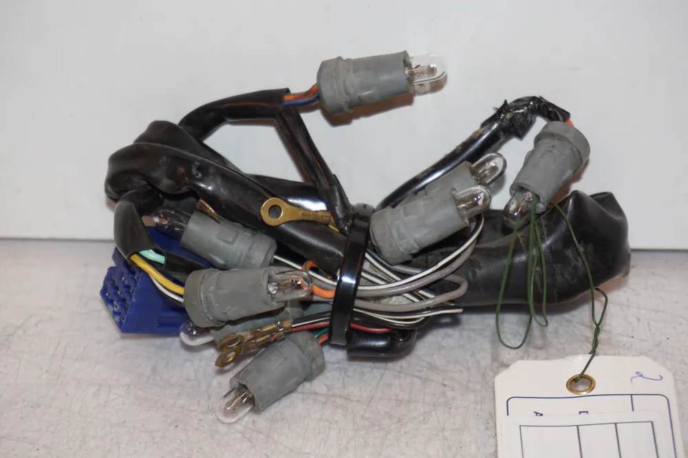 Kontrollamper Suzuki