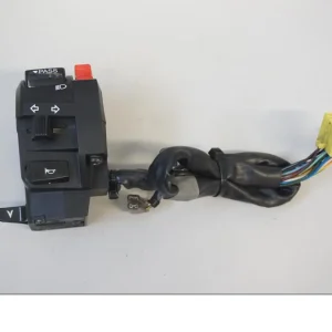 Styrekontrol Suzuki