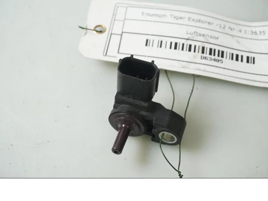 Luftsensor Triumph