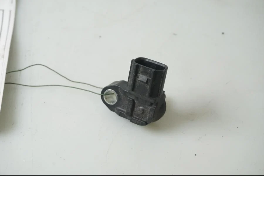 Luftsensor Triumph