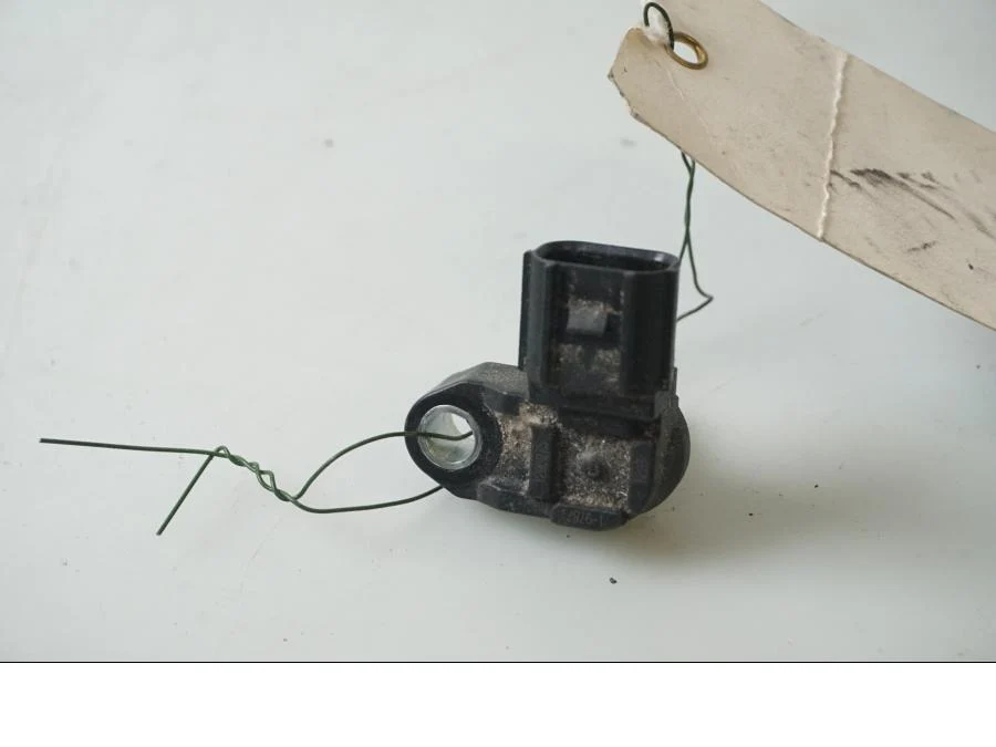 Luftsensor Triumph