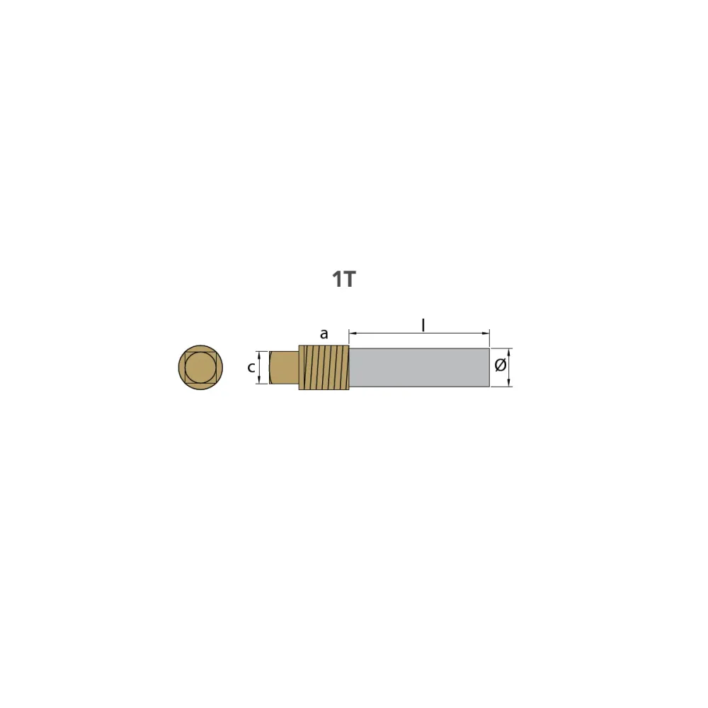 Zink anode caterpillar, motor, blyant anode komplet med messing plug Th.1-1 / 4''BPT