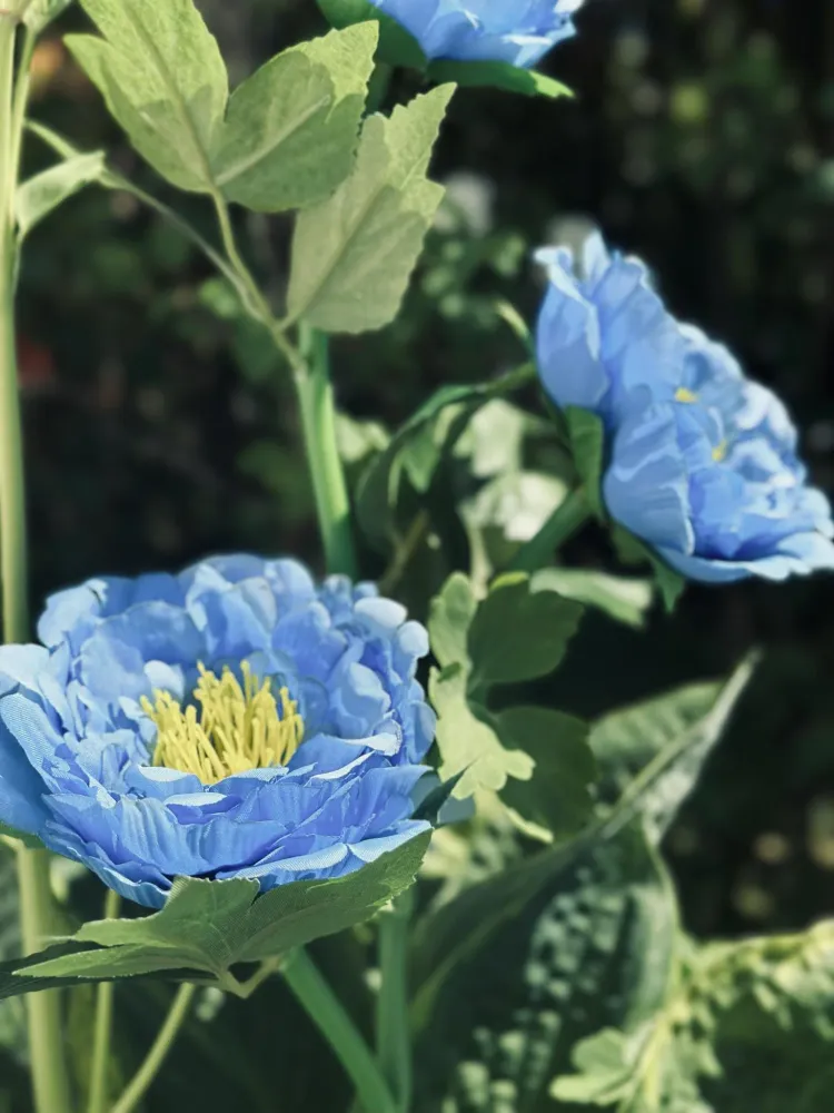 Blomst med solceller – Blå