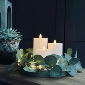 Lyskæde med eucalyptus