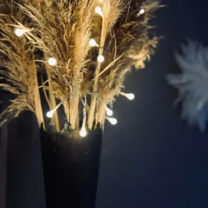 Lyskæde med hvide LED dots - batteriboks