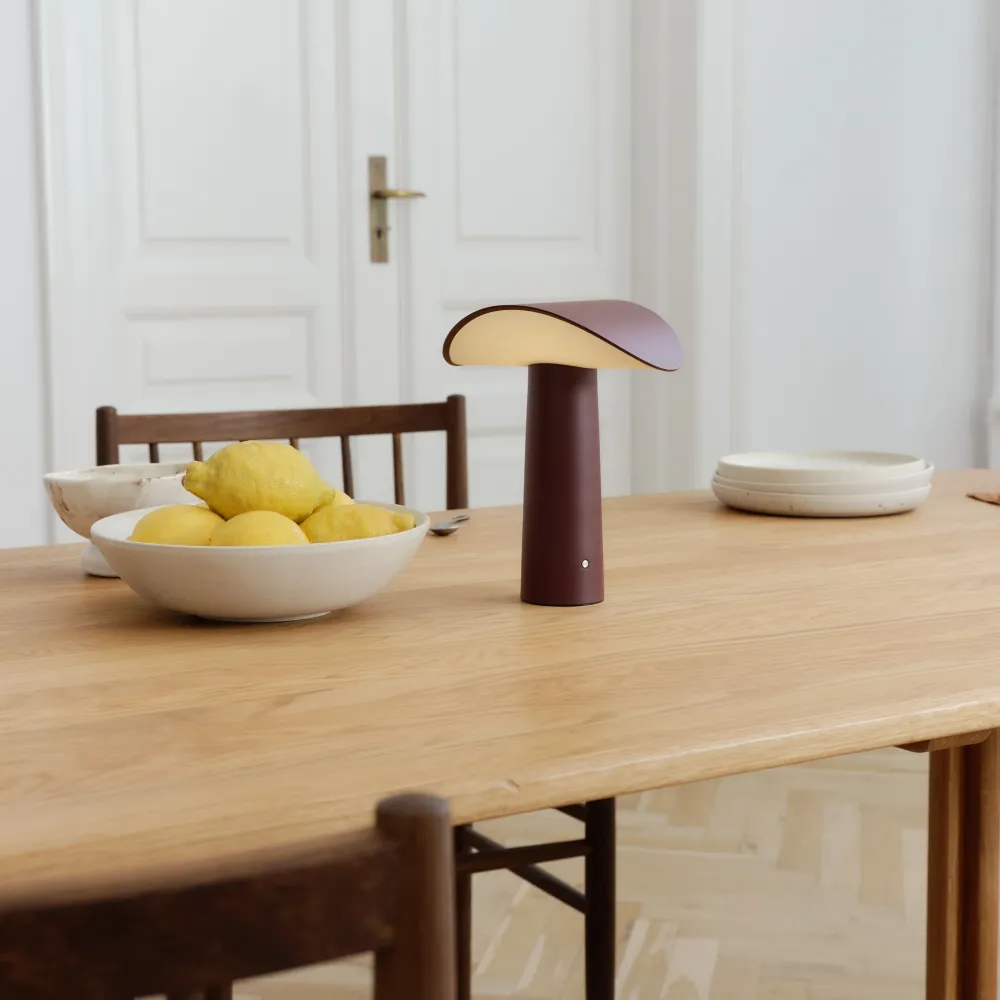 Daylight Lium on--go bordlampe burgundy