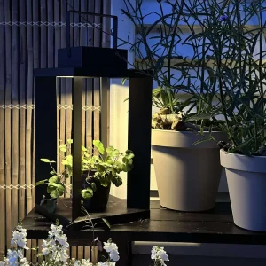 Lanterne LUX med solceller
