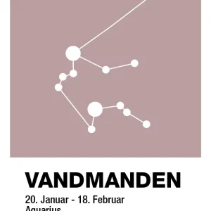 plakat: stjernebillede vandmanden - letvægt rose 60