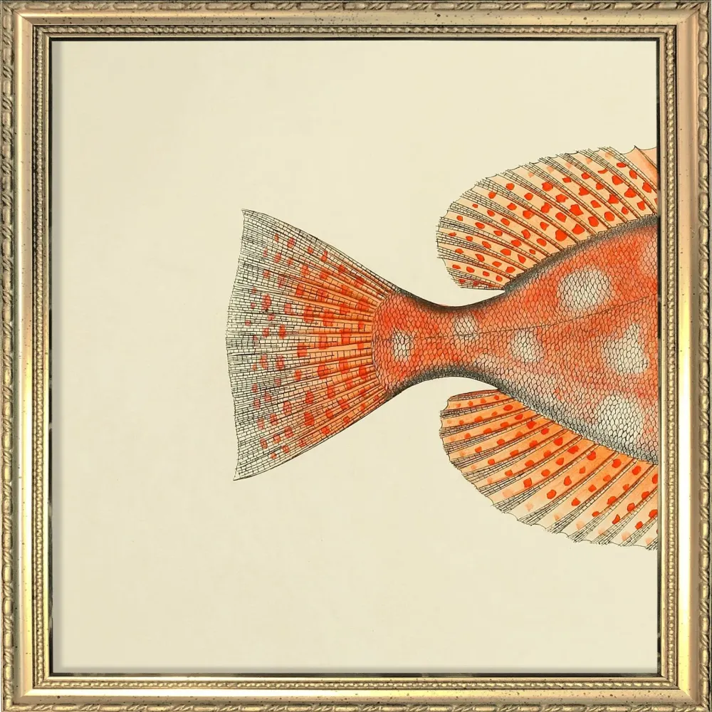 Blotched Bigeye (Priacanthus Carolinus) Tail. Tiny Print Adjustable Arm 15x15