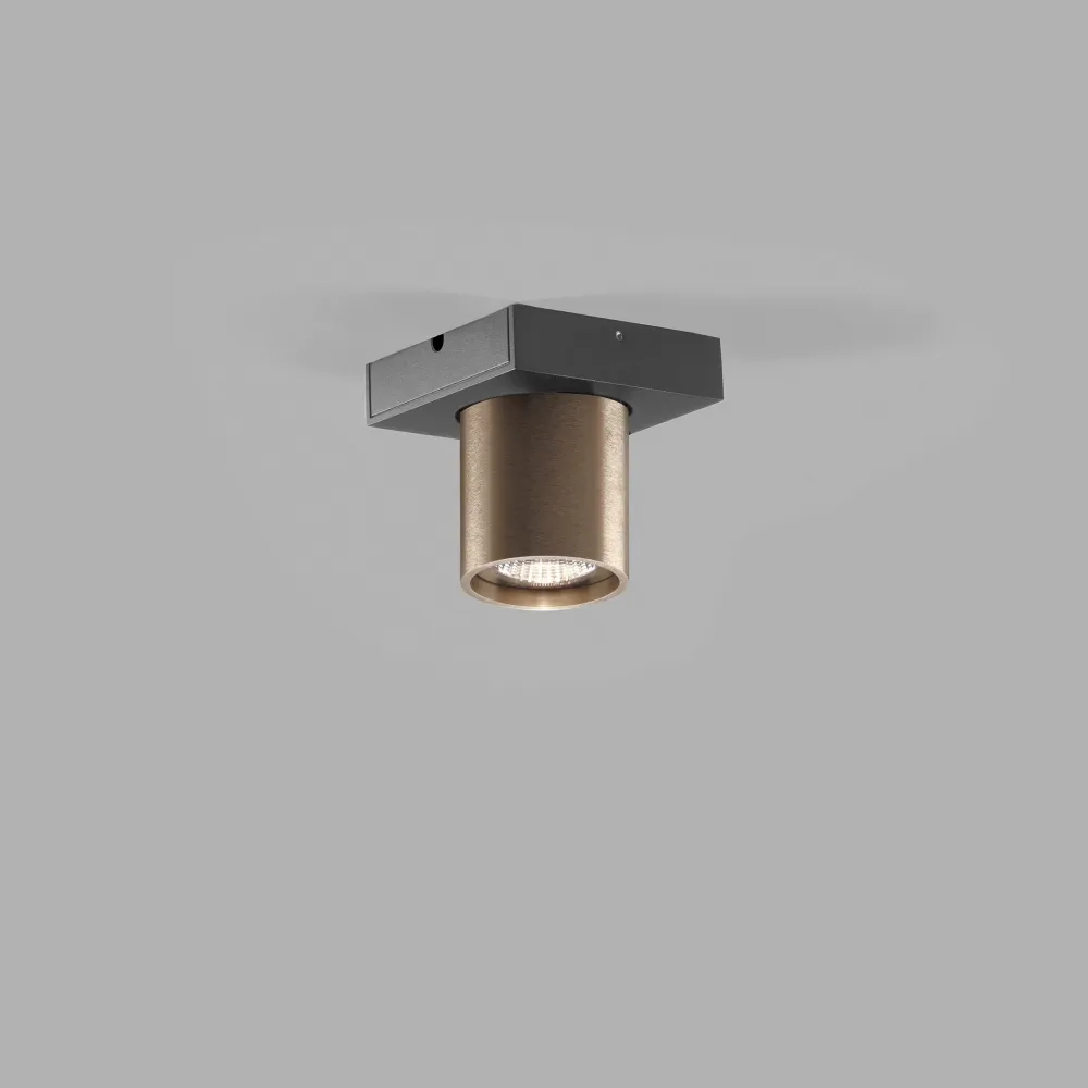 Focus Tiny 1 3000K Rose Gold