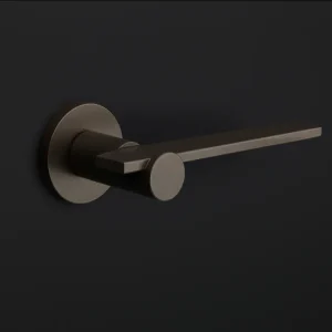 Pålidelig Sprung Door Handle BB100-G Pvd