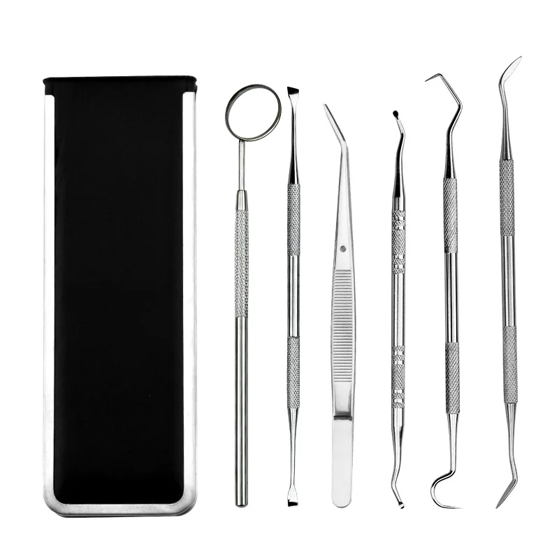 Professional Dental Care Set | 6-Piece Stainless Steel Tartar Removal Tools