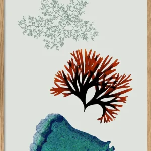 Triadic Algae including Big Blue 30x40