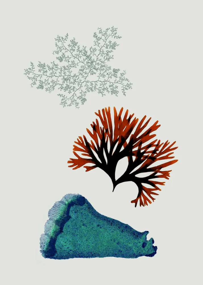 Triadic Algae including Big Blue 30x40