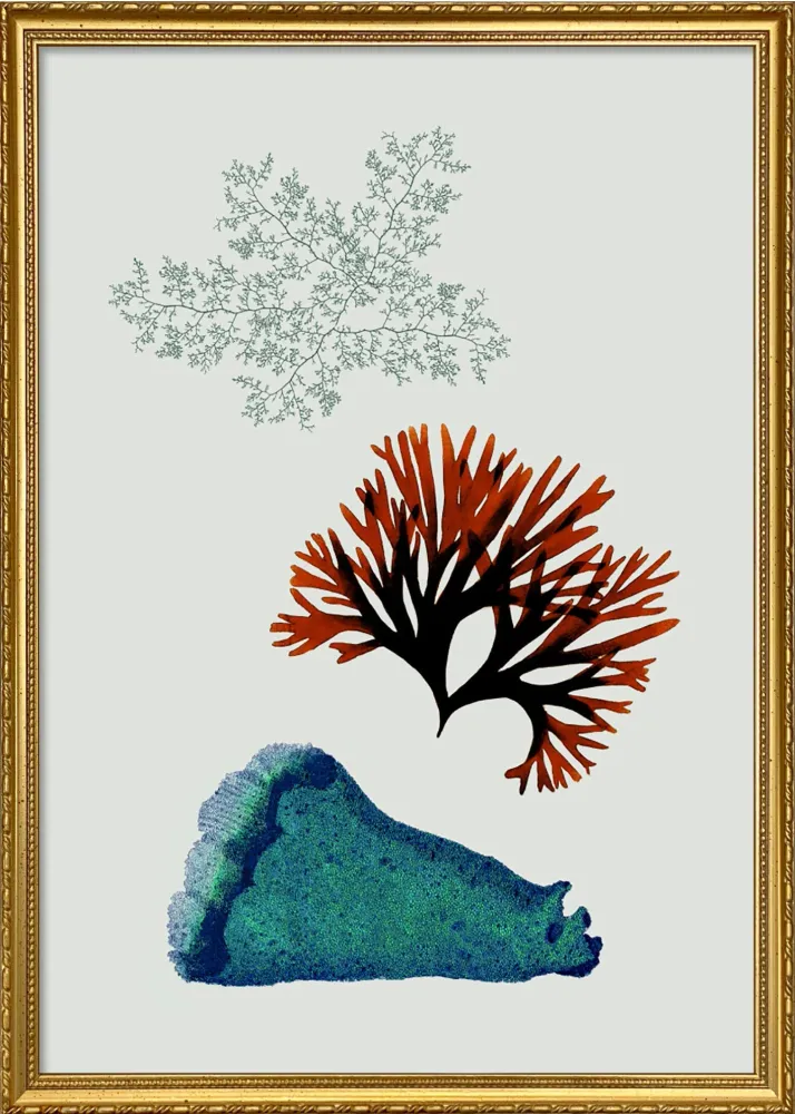 Triadic Algae including Big Blue 30x40