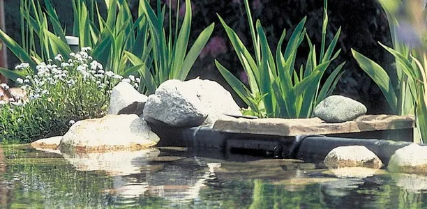 Biosys Skimmer | Lifetime Warranty