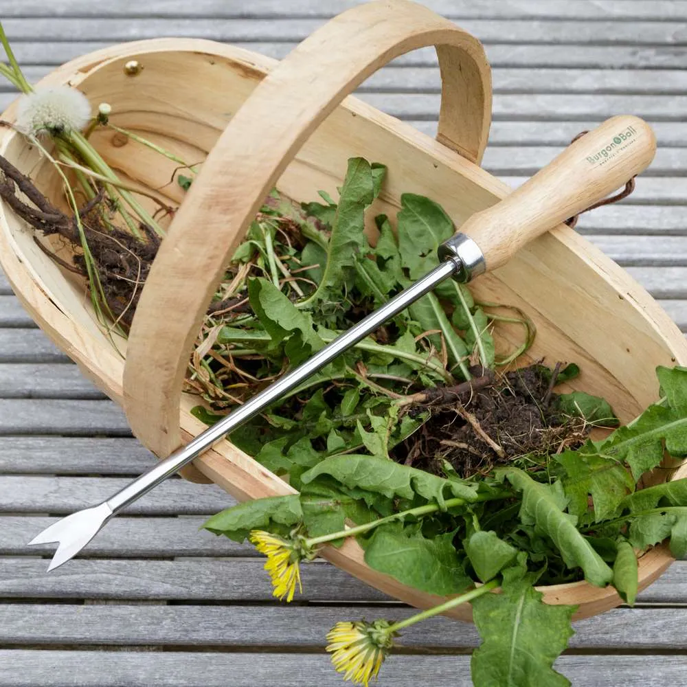 Burgon & Ball Mælkebøttejern DIY Projects