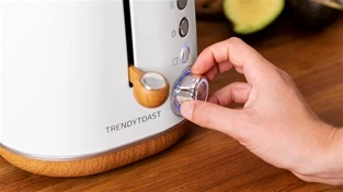 Cecotec TrendyToast 9000 toaster