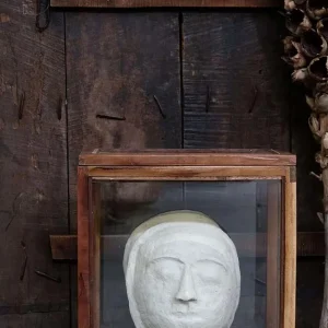 Cosmos Facemache Big Vibration Reduction