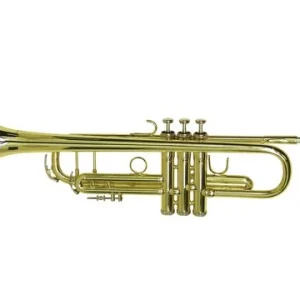 DiMavery TP-20 Bb Trumpet, Guld