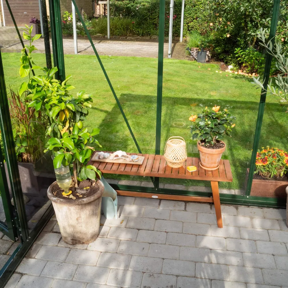 Drivhus Royale 14.5 M² 2.0