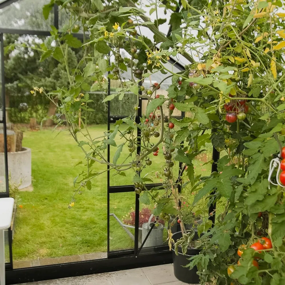 Drivhus Well-built 12.5 M²