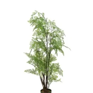 Ergonomic Design Adiantum i potte 110 cm