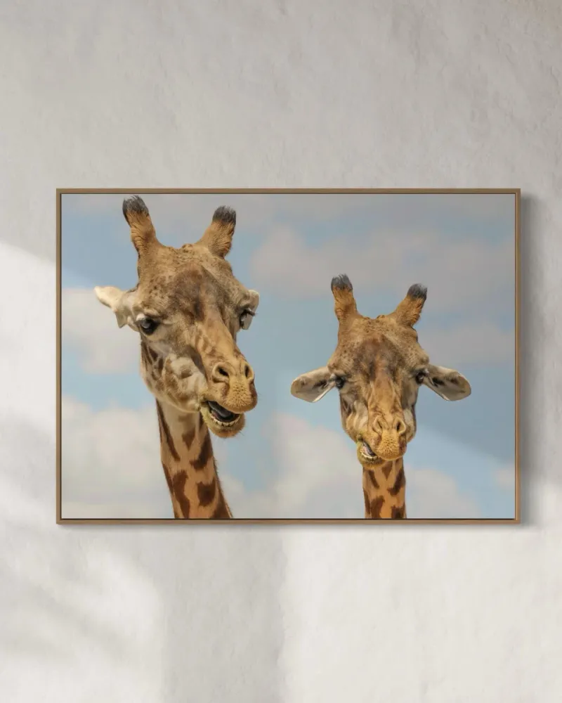 Girafmakkere - 20V 13x18