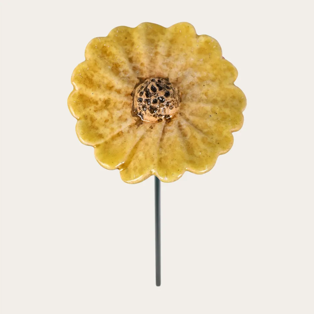 High Precision Daisy