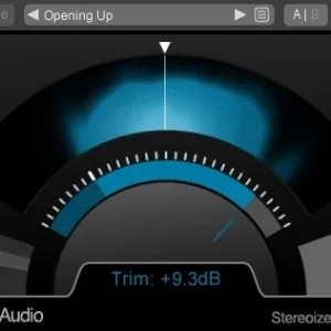 High Precision Stereoizer Elements