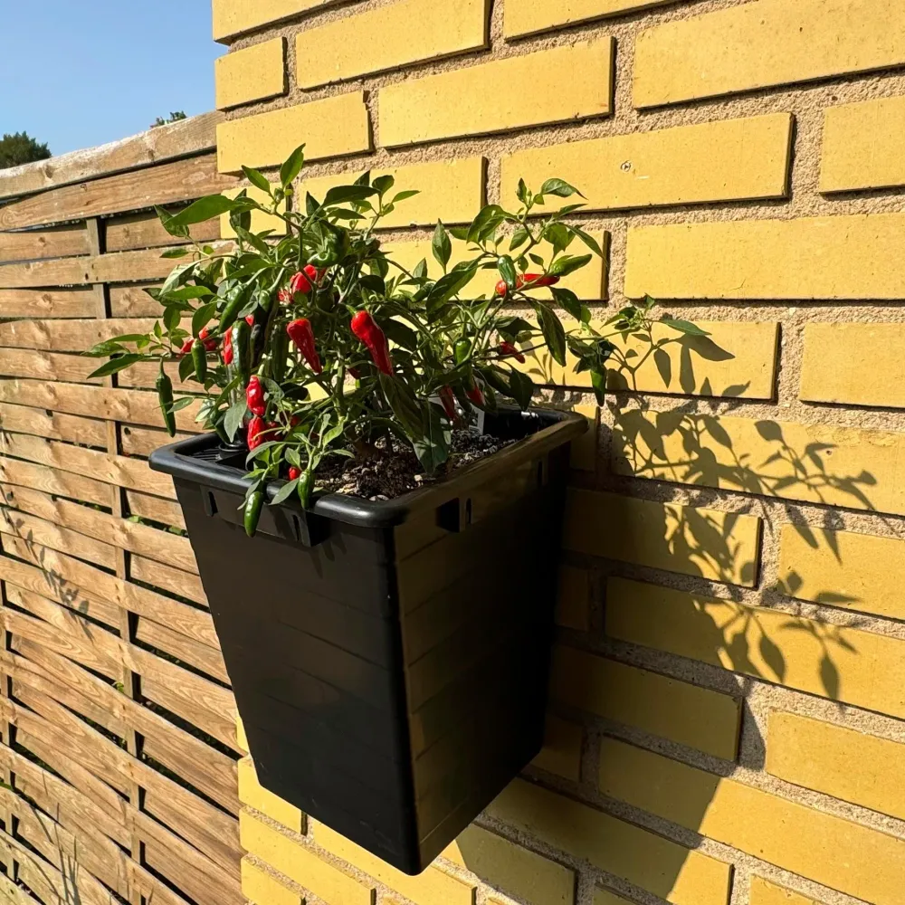 Homefarm 1 - dansk mini-kapillærkasse af genbrugt plast