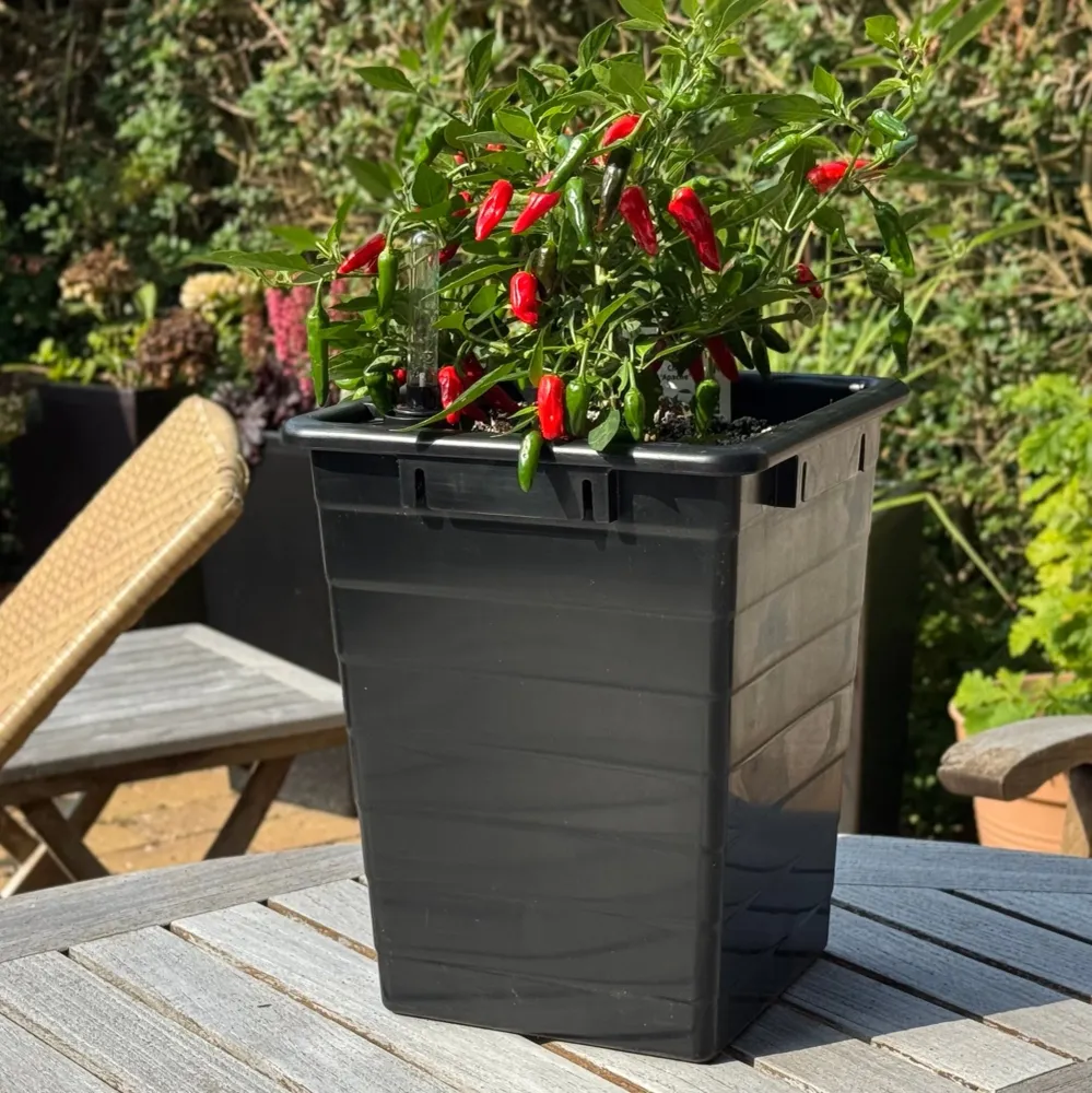 Homefarm 1 - dansk mini-kapillærkasse af genbrugt plast