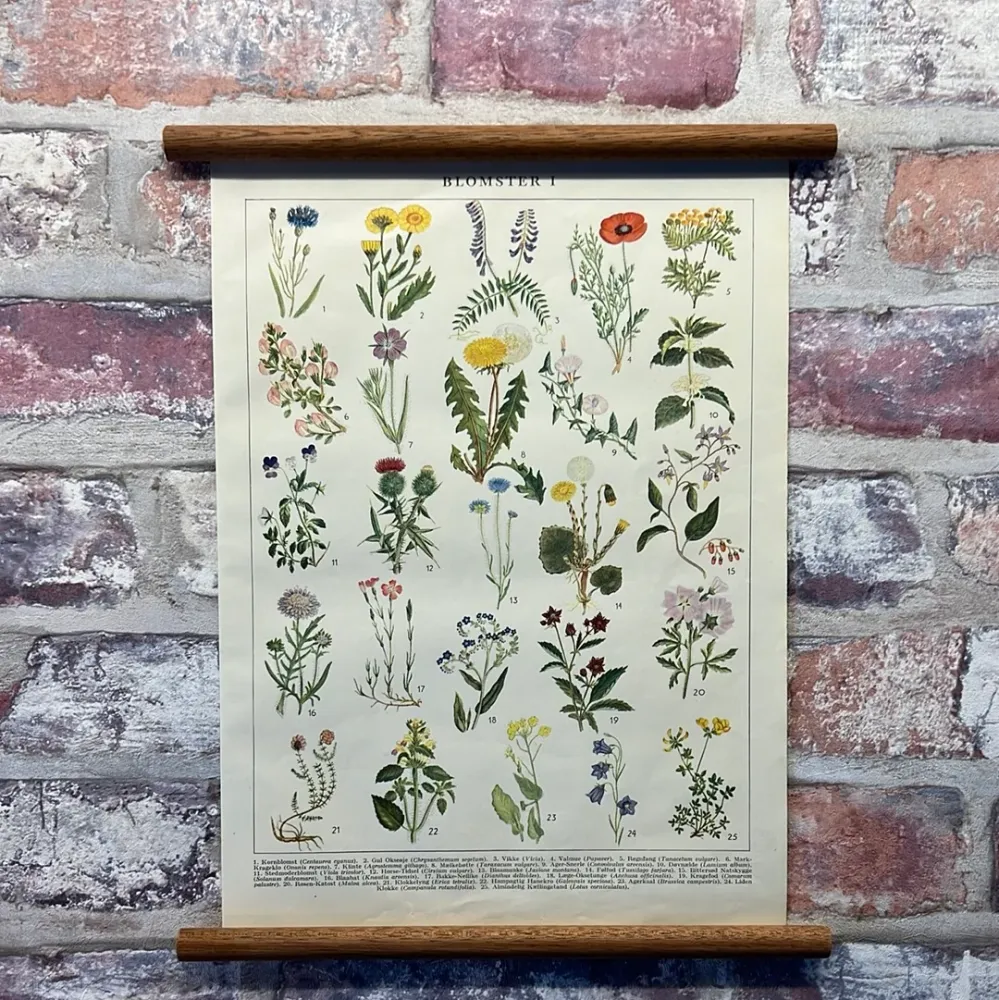Impact Ready Blomster I